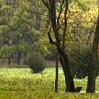 Autumn Light